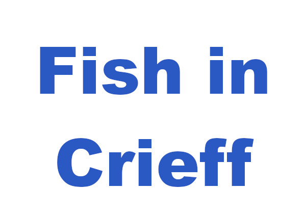 Fish in Crieff Logo